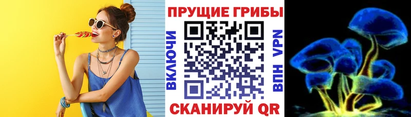 Купить где  Апрелевка  Псилоцибиновые грибы Cubensis 
